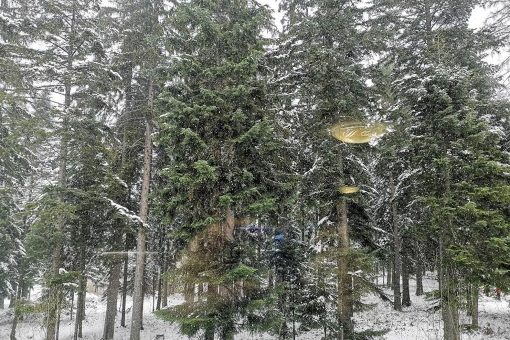 Studio 1 Iceberg Borovets Exteriör bild